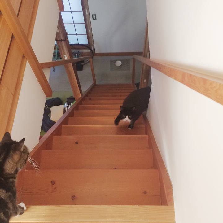 E238da82 d3cc 4daa 9c5d 05177ef27f48 1515976058202