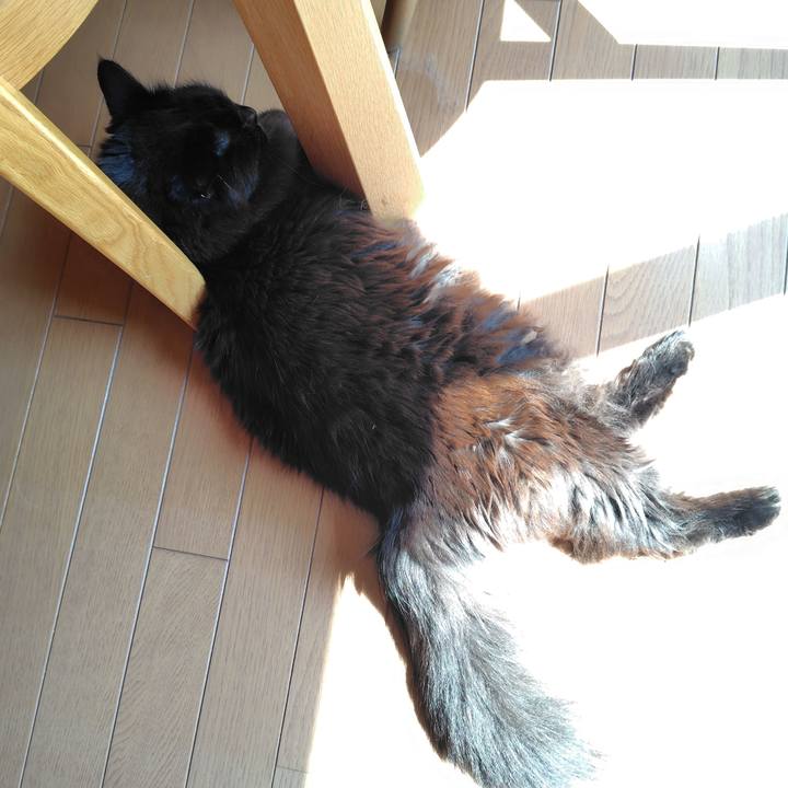 E238e93b 71d7 447c b9c9 985edba7e55a 1774317587773