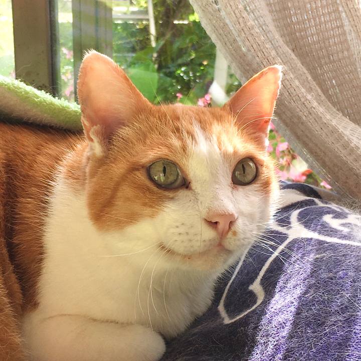 E238fbd8 b622 4f43 a373 f91226cdcae8 1601972207253