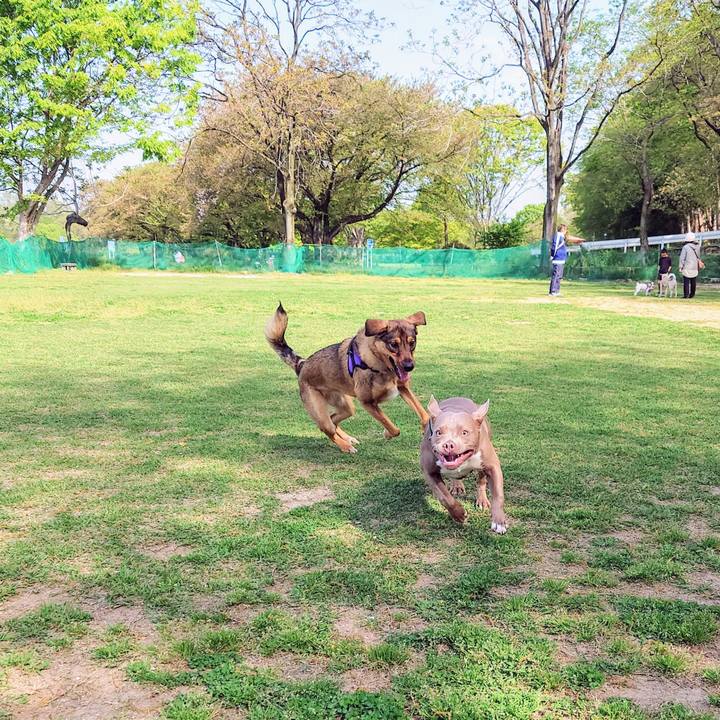 E2391c6e be2b 4c2d 92ac 149b38fa7ec4 1713614590464