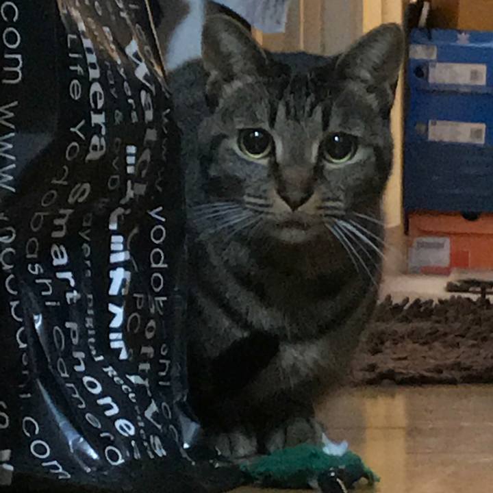 E23939ac f4b8 45a6 8912 ff010cc470ba 1509123044097