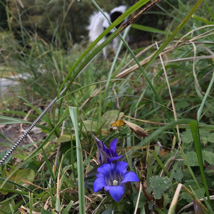 E23939d5 19e1 4a47 9f48 f547b34e6089 1540218168459