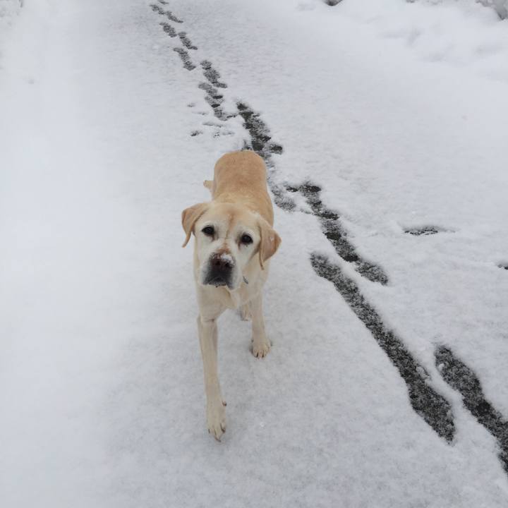 E23950f6 e816 4e8a b046 052b4ffb3e07 1548672470844