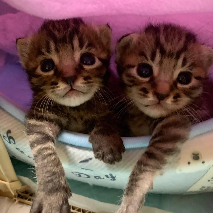 E2396686 97b1 4506 80eb 046369112ae0 1563024509297