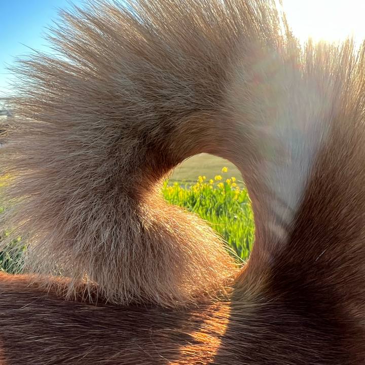 E2396a8c 7e6a 4719 934a 22e618006836 1681093245717