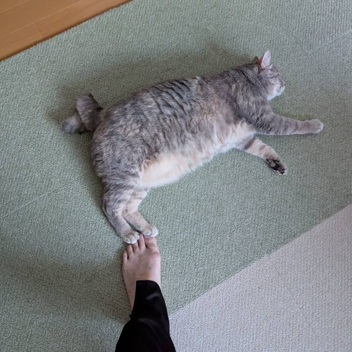 E239f8fb 86ca 4f7d 88d6 bef21a1109a8 1759207026483