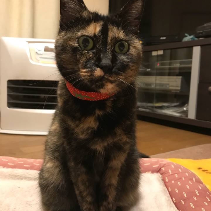 E23a0900 4b98 4bfa 94f4 825644eddf9b 1510580805771