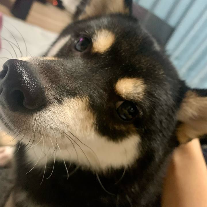 E23a2b9e 5d94 4570 ae9b d0c2ed6573d0 1668427312227