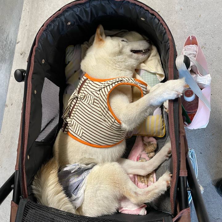 E23a5d78 bdb1 4f39 a25d 117f9e9822bb 1656594501956