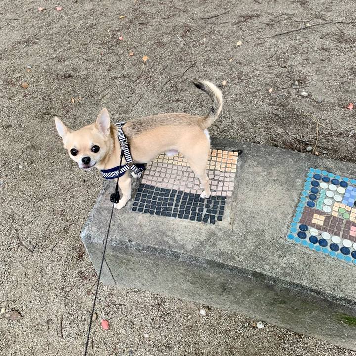 E23a870b 04df 4647 9bfb 5a9ff6ed223d 1626165318091