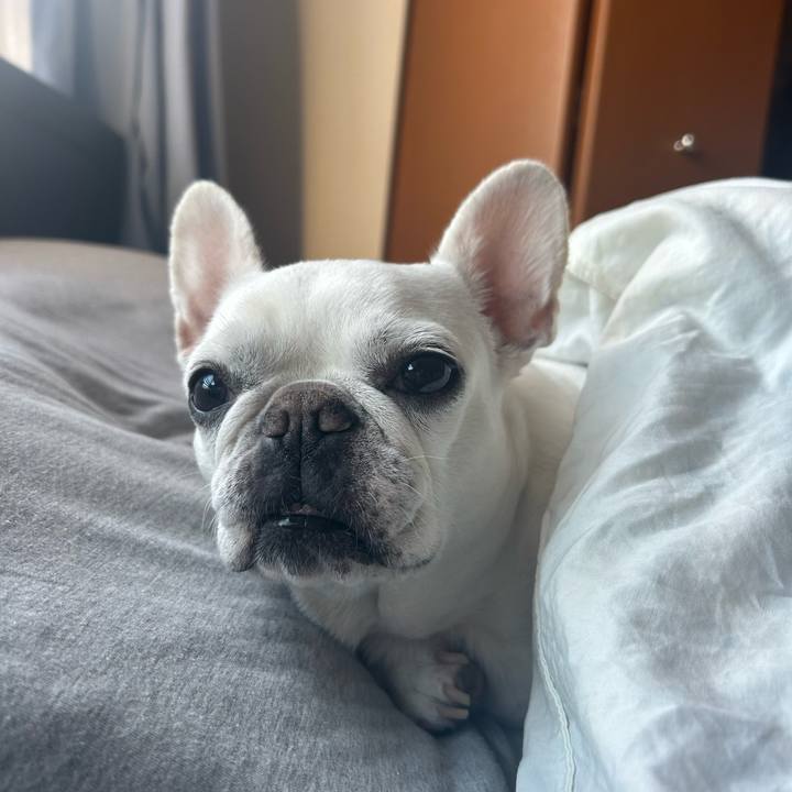 E23b5a97 0c26 42e2 a48b 174f1b6fd25f 1697670428666