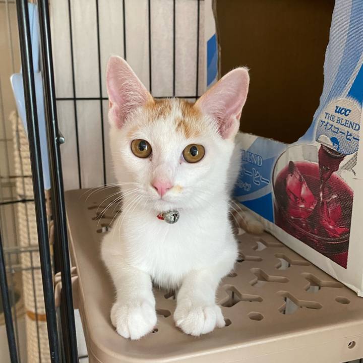 E23b7a53 b538 453e 9255 90a709c6afcb 1756554385796