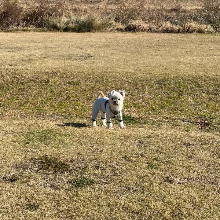 E23b93b6 7a0d 49af b1a5 b0249be22d35 1703213813234