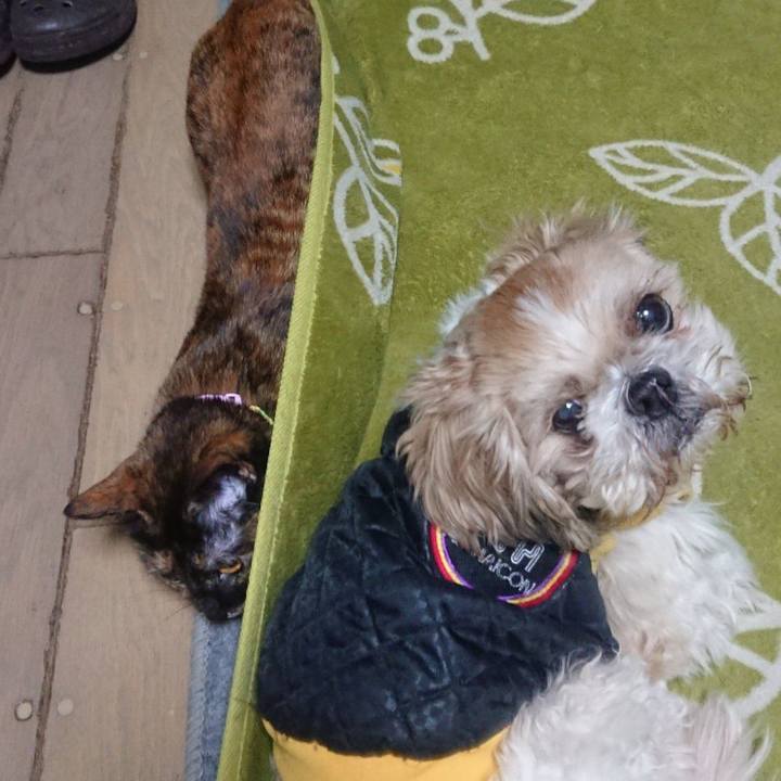 E23bb010 9713 4f80 b66e 38a875687c74 1607964686452