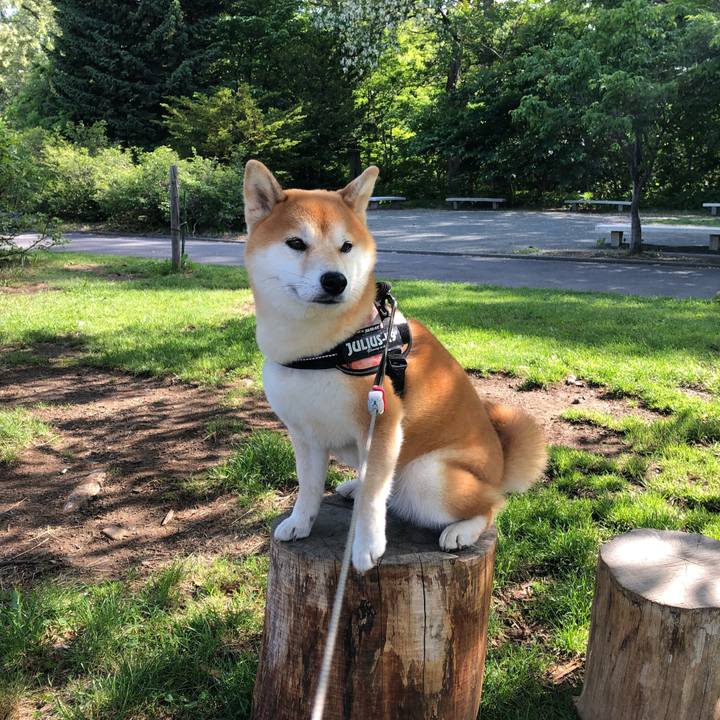 E23bb320 9bb4 46d5 bd77 6d936ccd3014 1528671907376