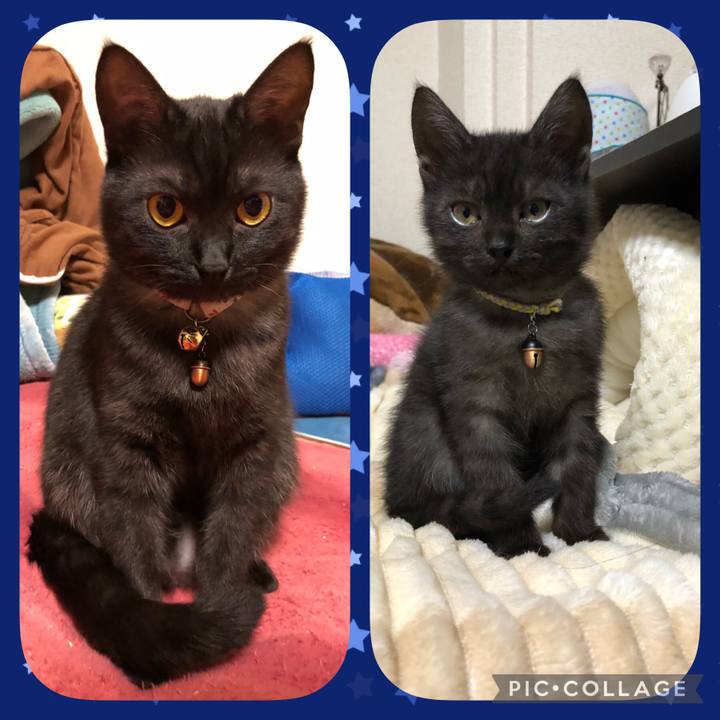 E23bd99f 5b88 4e22 94ec 24a38e8b7a53 1617387998197