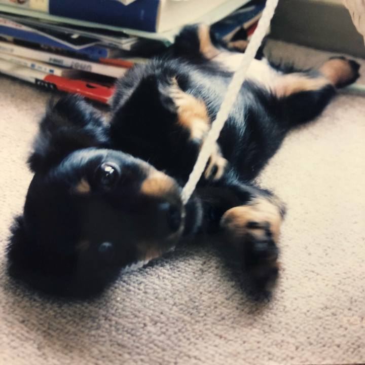 E23bd9fa cb98 4a9e a05d d39ca5db6533 1525519902094