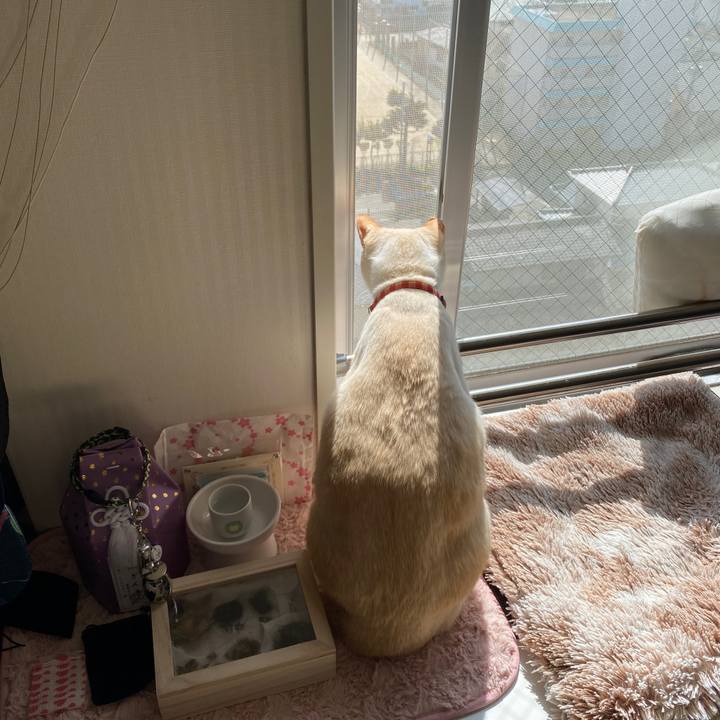 E23be7ee 297f 4625 8e76 cee3091131fc 1677993626928