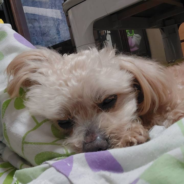 E23c2327 c8bf 4c9a 907f 5aca6519d756 1714102854713