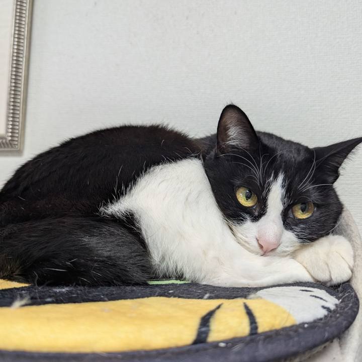 E23c60c7 76fe 4005 a4c1 6ef07d6a1bdc 1738543632908