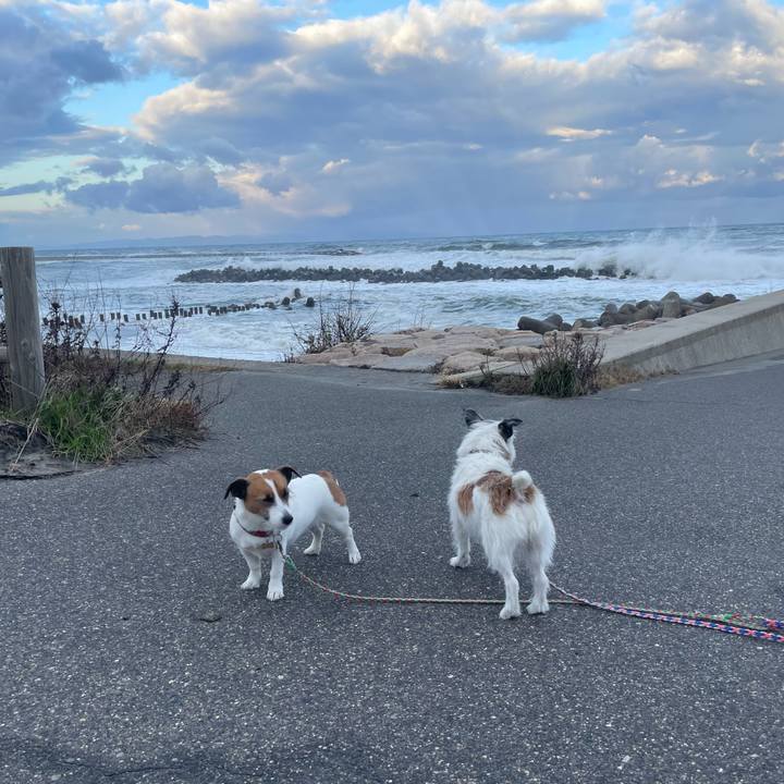 E23c6abd 17be 4d98 89f4 23267ff78121 1762817051901