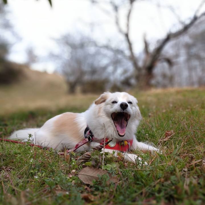 E23ca452 34c4 4fce b4c0 6951eb4eb4a1 1647141648073