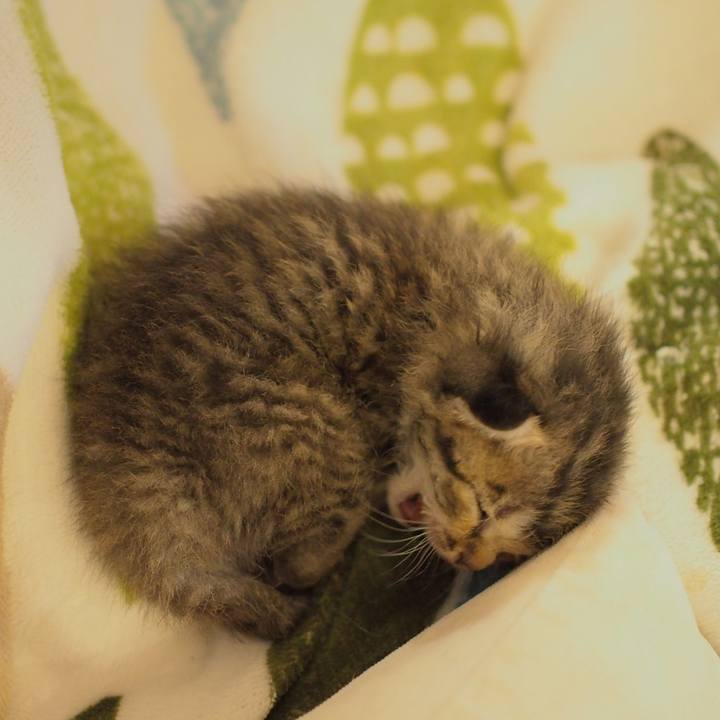 E23caa1f ad2e 4791 ad8d 7e23700eb964 1558617161520