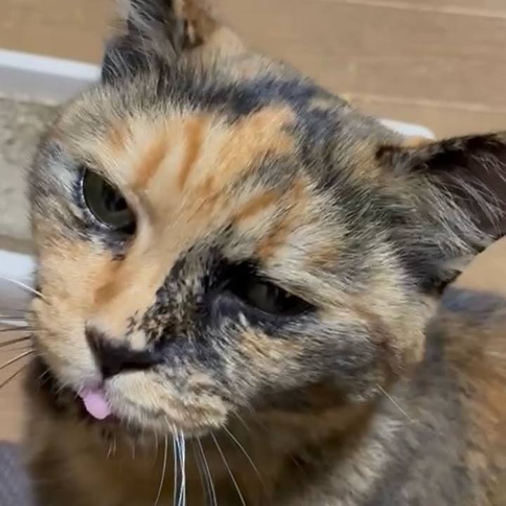 E23cadf9 c30b 45d2 a101 800215109376 1753843234339