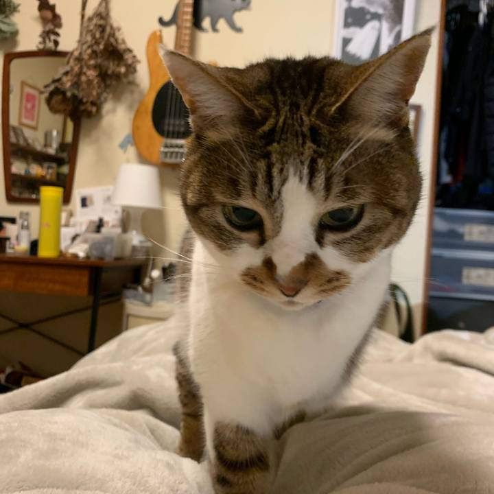 E23cc965 2a5b 455d 9c52 f48032308d14 1643209191617