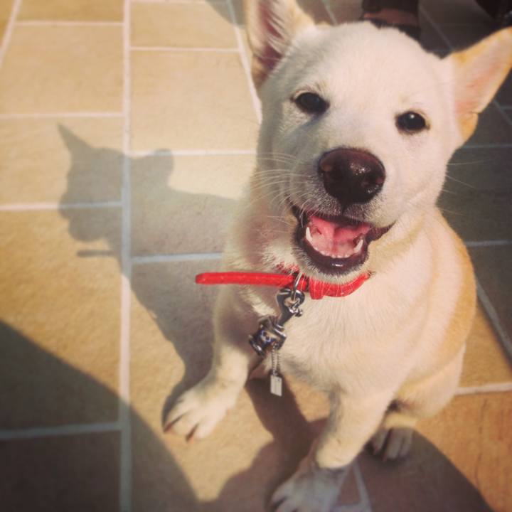 E23cfad0 742a 4e31 a4e0 8b0de8596190 1655354299450