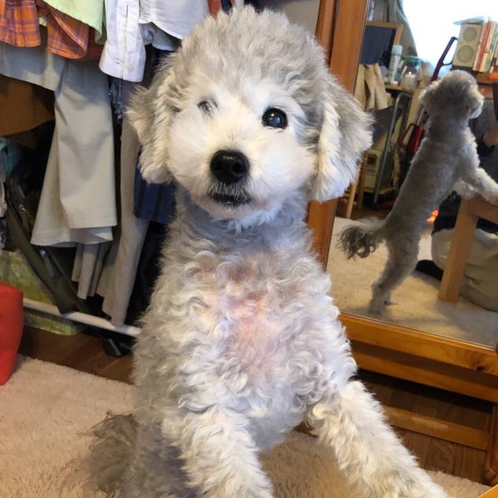 E23d1bbe 4b2b 4dad aef5 49ff906d9291 1572244865050