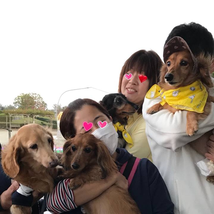 E23d2fda d6e9 40a3 852f 10e76faf9912 1509831124827