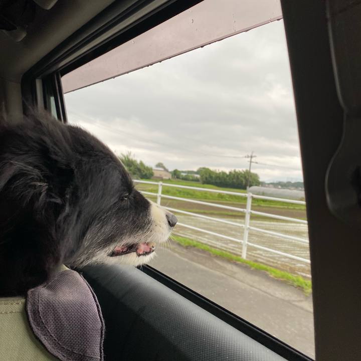 E23d5106 0bc4 46fa 888c b7ffcdd4207c 1656108496337