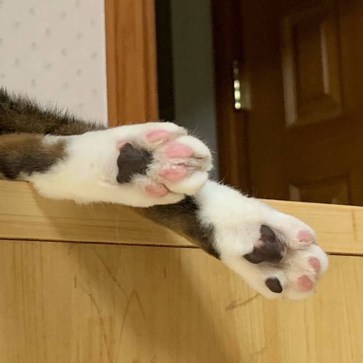 E23d5c3c aed2 460b 9481 fbf522245b17 1568202859730