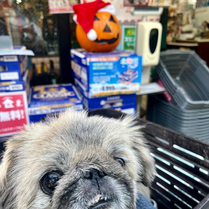 E23d6d9b cf30 470b 8421 1815133abdf8 1762484805483