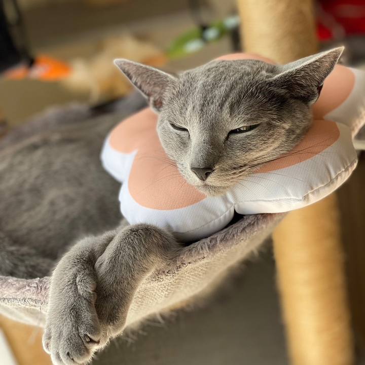 E23db9ab 392a 404b 9e0a 3584015395cb 1678920798063