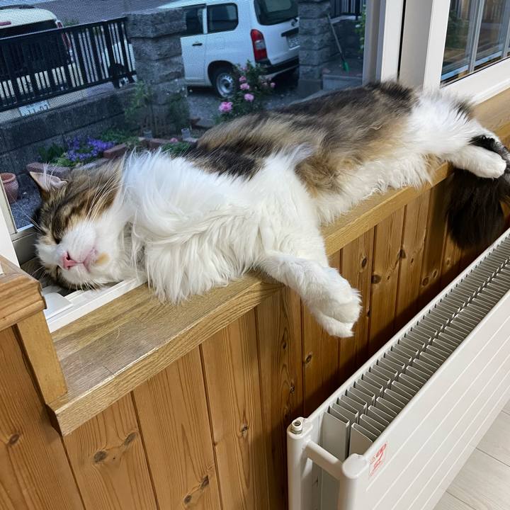 E23e01fb 2b63 4ff3 b9d9 2998e2447b59 1656239195202