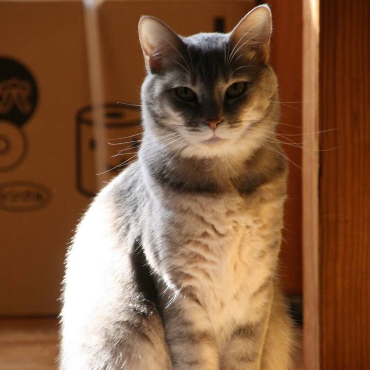 E23e0778 4747 4c42 a9b8 a7bd2f27749b 1525137966255