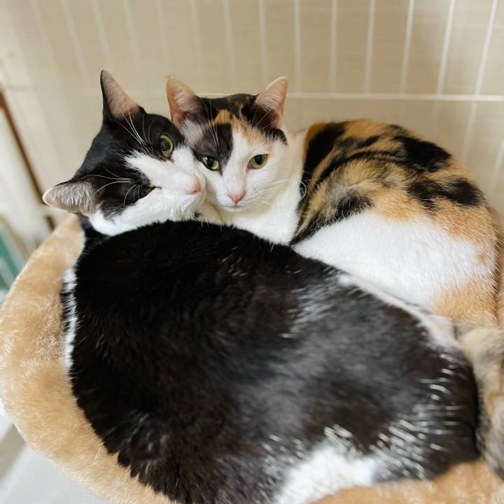 E23e1f33 e5cc 48ec bf3c b7c2e87521c4 1641950549972