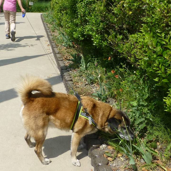 E23e82c2 81e9 492b 9371 a20442cfe46a 1581811559809