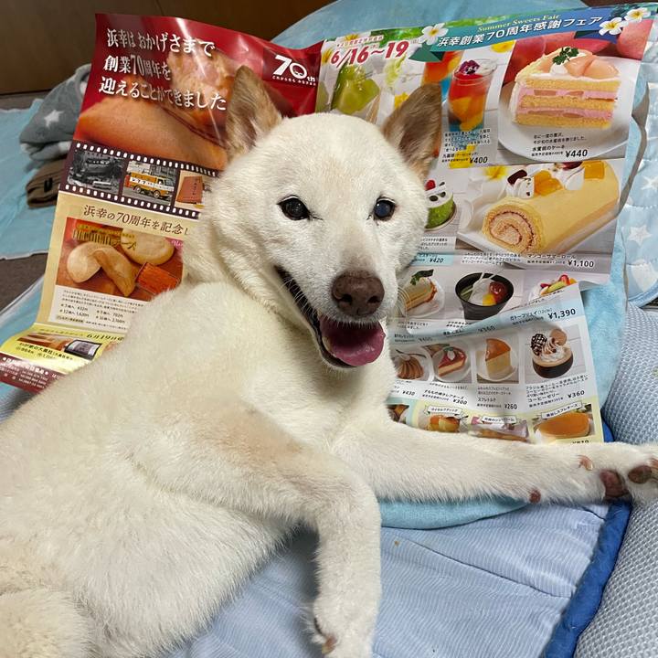 E23ebb55 ba18 4a61 9336 3b7b74100e1e 1655800626892