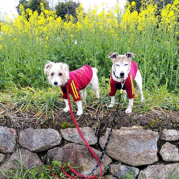 E23ebc4c 586c 4be3 b9f8 d293ad4cd8ab 1585459653731