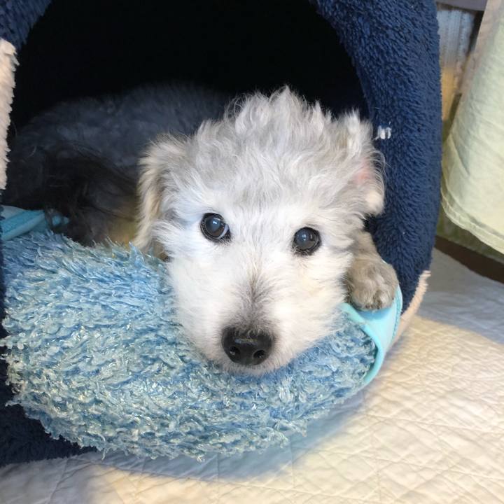 E23ebea1 f1b9 4446 87af 2267cf53ed5c 1591790143089