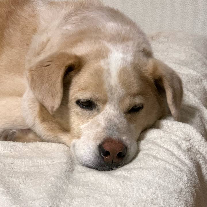 E23ecc0b 52f2 4a0a b73d e4ab31af118b 1592923227031