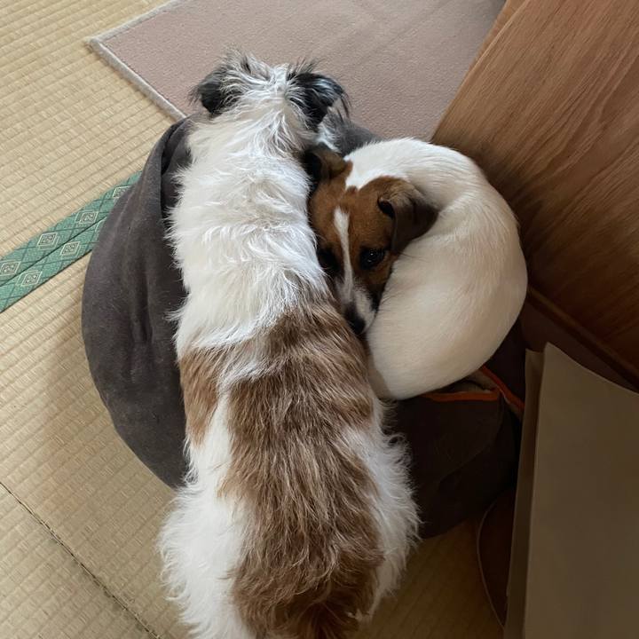 E23ecd80 551d 4b1b 98fd 32c1b451cc4d 1636502710128