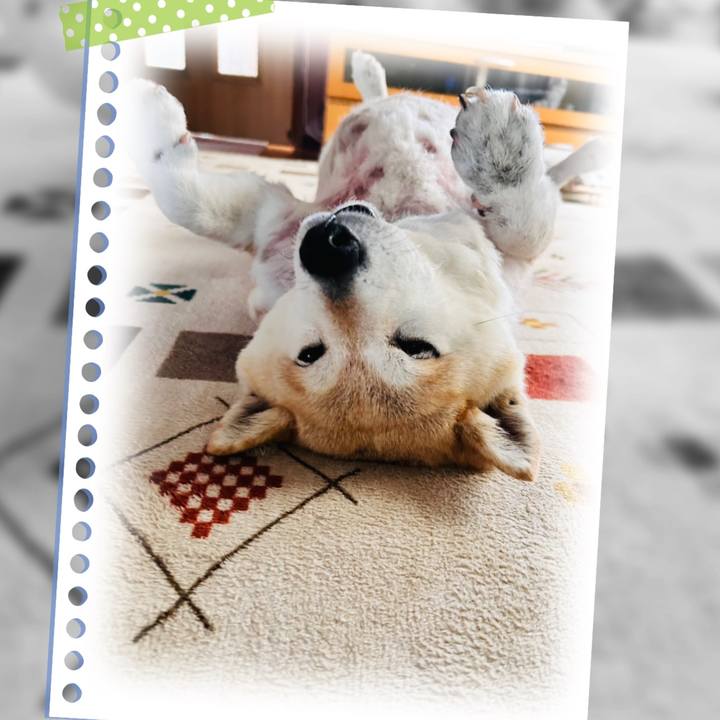 E23ee12e c985 49df 8d8f 809004001624 1748061740869