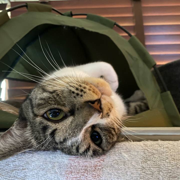 E23f00d6 b282 4bbd b5c0 18b18bba2e04 1748582601371