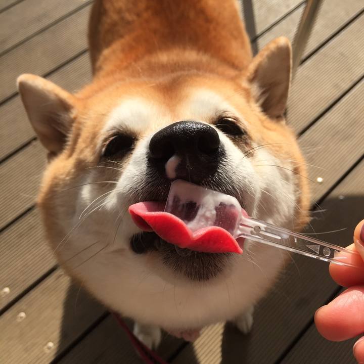 E23f92ff 42e1 43a0 babd 4f508ce98ebf 1608781215802