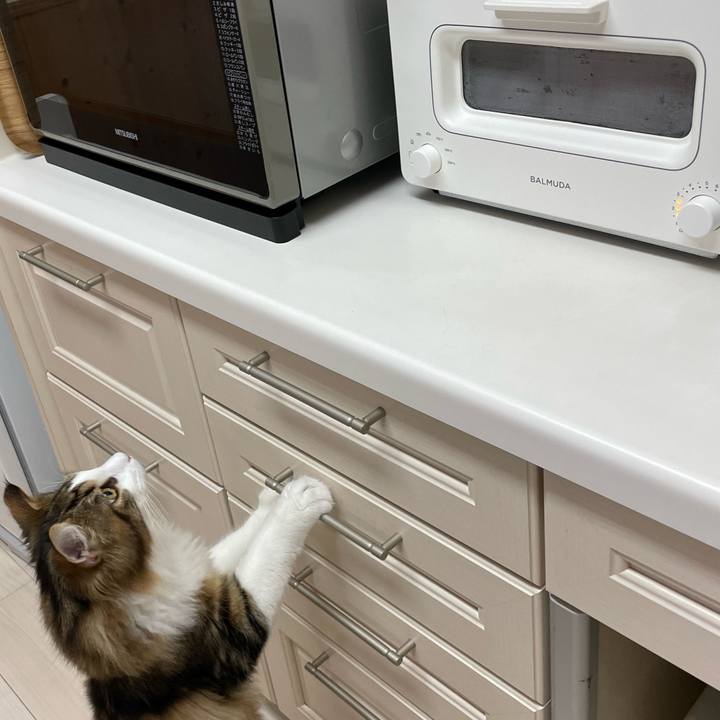 E23fdf0b c6f1 4f37 9002 9d5a34e1ea9b 1639262141860