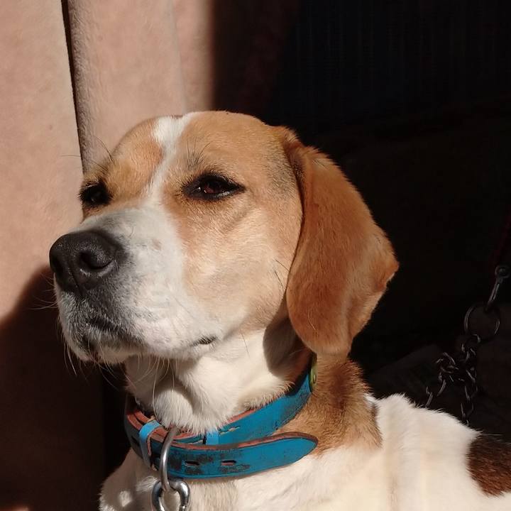 E23fe087 7607 4389 ab33 0529ac42b949 1614236554039